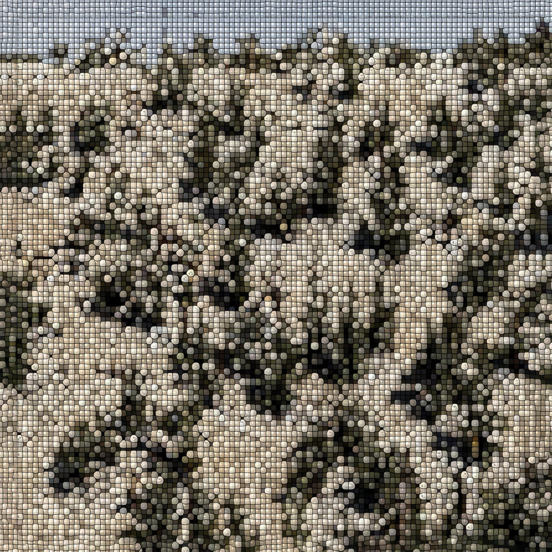 Gregory Uhlmann - Extra Stars (International Anthem)