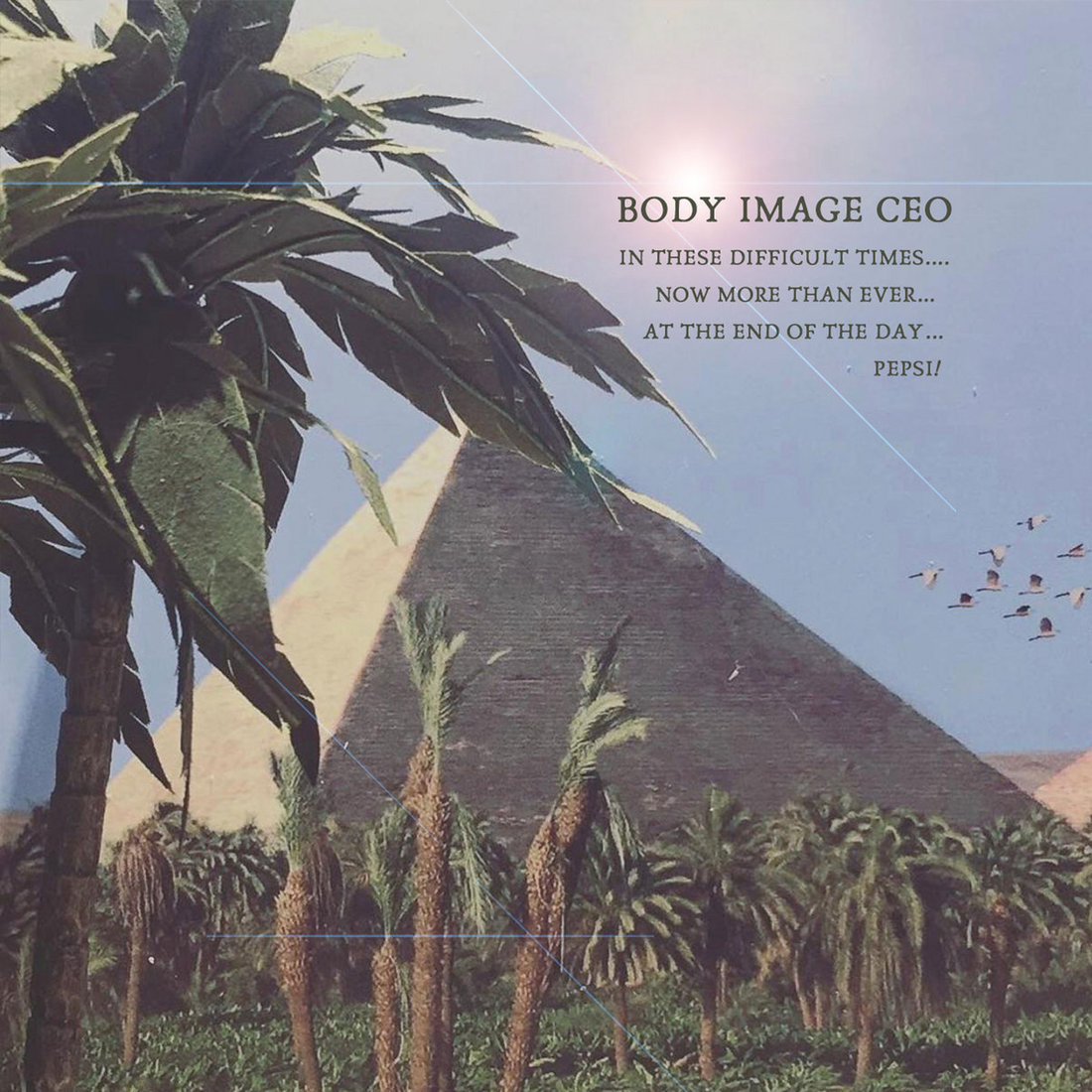 Body Image CEO - In these difficult times.... now more than ever... at the end of the day..... Pepsi (Discrepant)