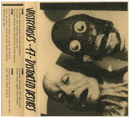 VA - Distorted Desires (Vastechoes)