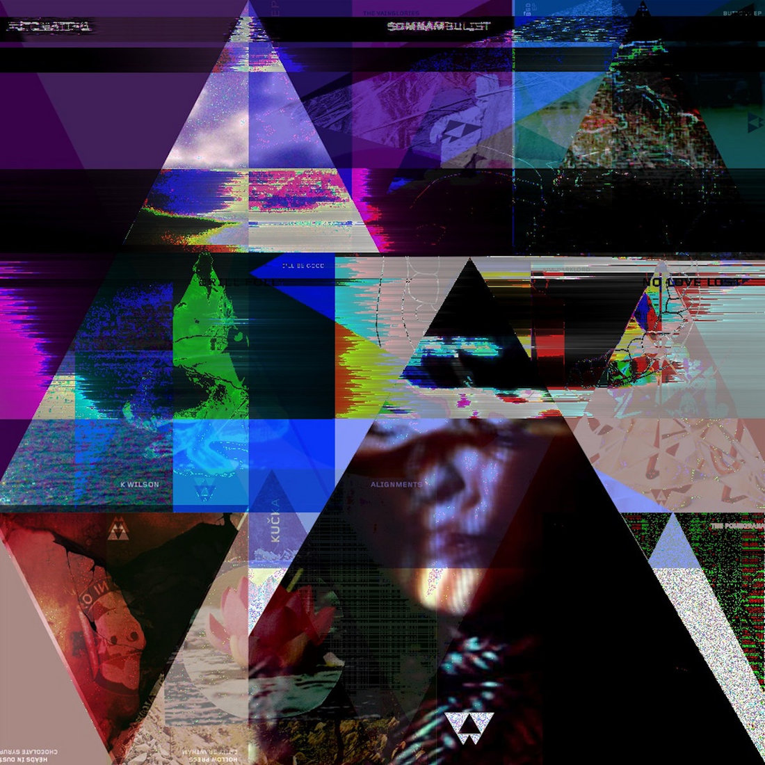 V.A. - Made Of Wood And Wire (Expanded Edition) (New Weird Australia)