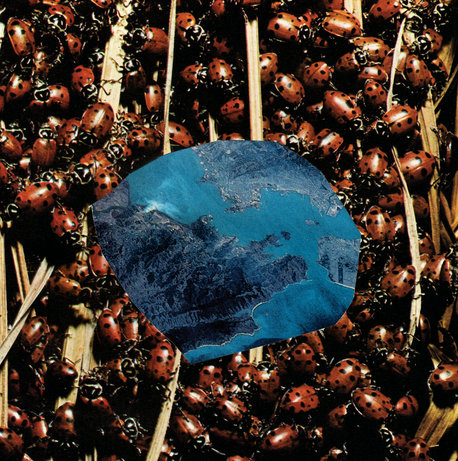 Papivores - Death And Spring (Hands In The Dark)