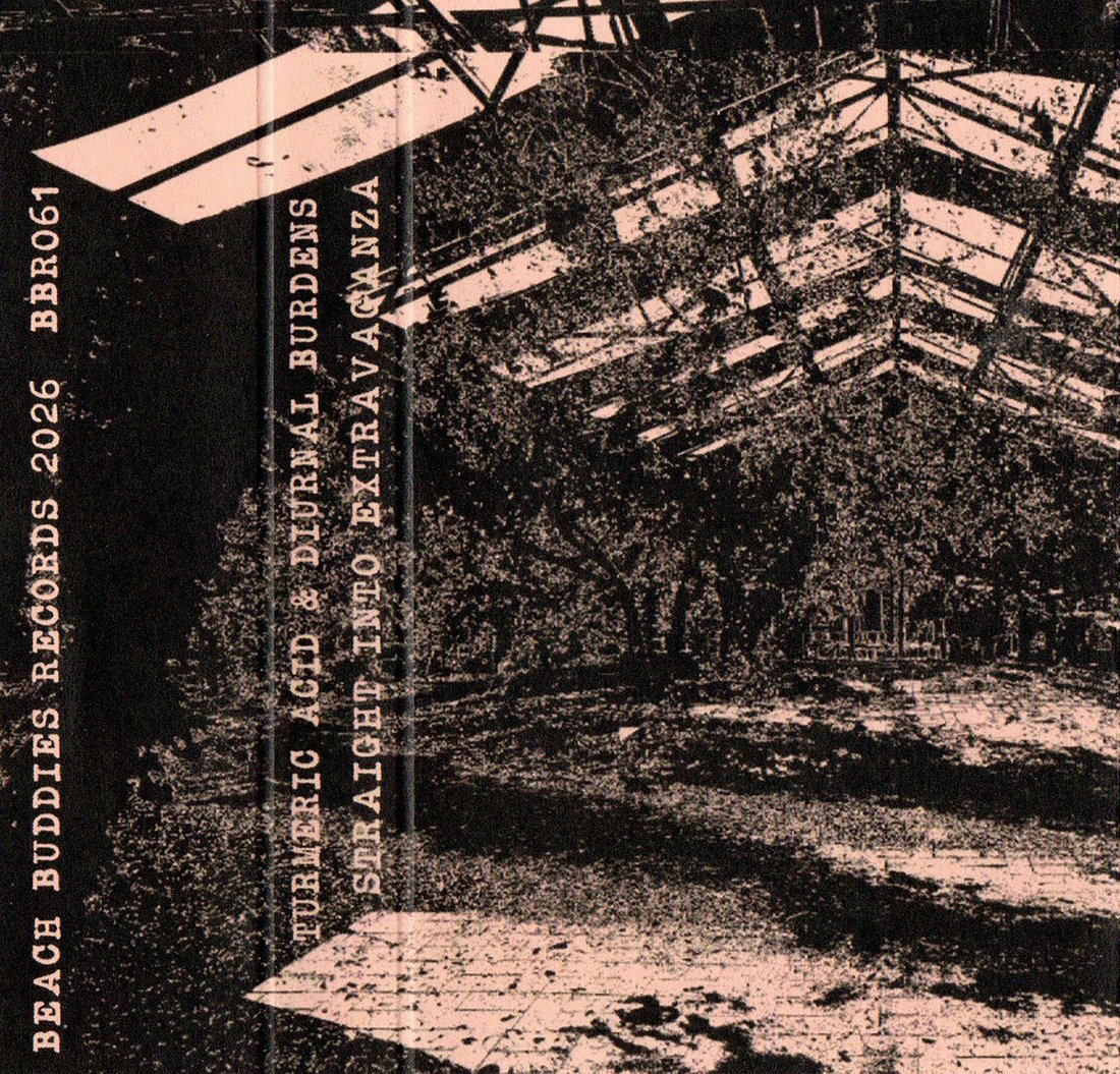 Turmeric Acid & Diurnal Burdens - Straight Into Extravaganza (Beach Buddies Records)