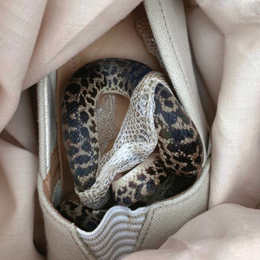 More eaze, pardo & glass - Paris paris, texas Texas (OOH-sounds)