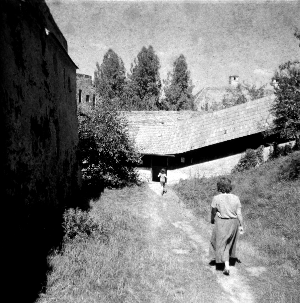 Cisnădioara, Sibiu County, 2023. Photo by the author.