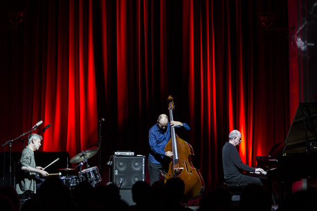 The Necks. Photo credits: Alan Murphy