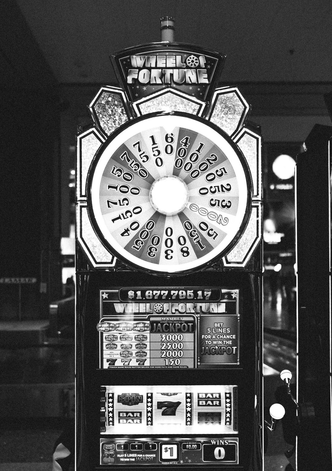 Photo credits: Wesley Tingey on Unsplash