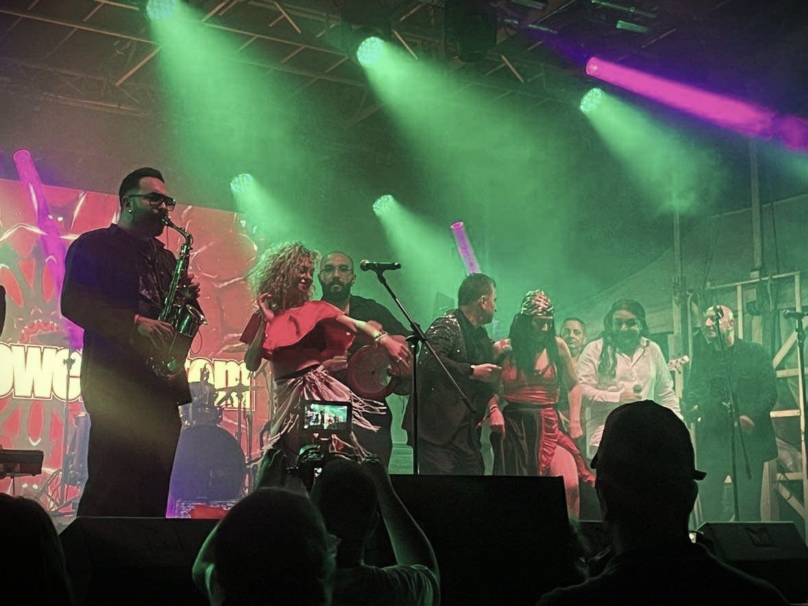 Towards a Roma Futurism - Music as a Means for Transnational Communication