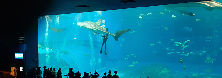 Photo: Thomas Venker