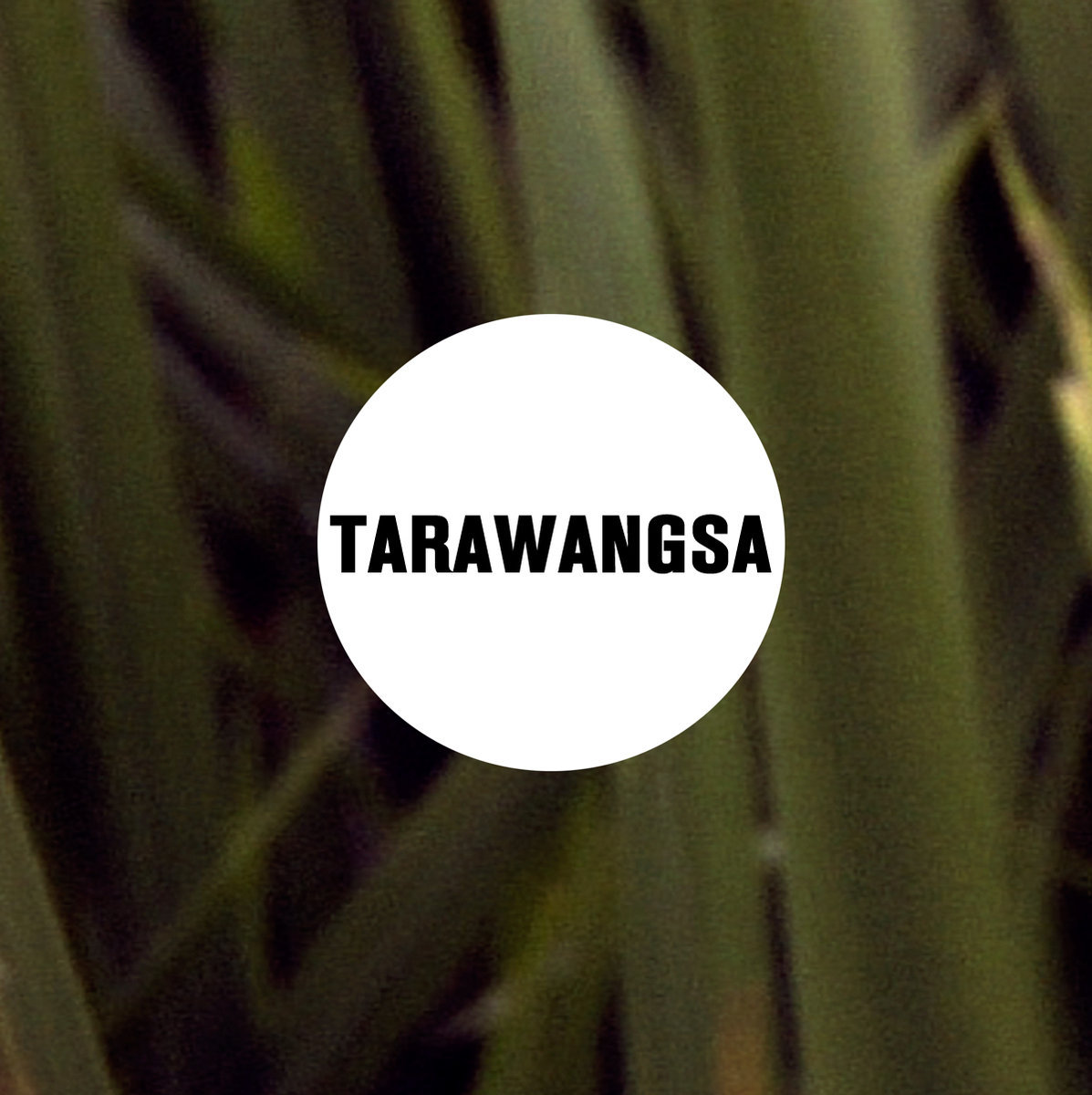 Bandcamp pick of the week: TARAWANGSA • the sacred music of Sunda